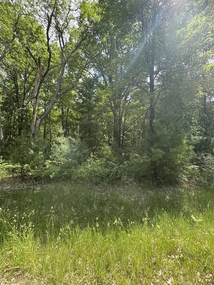 2830 W Pierce, Brohman, MI 49312 - #2