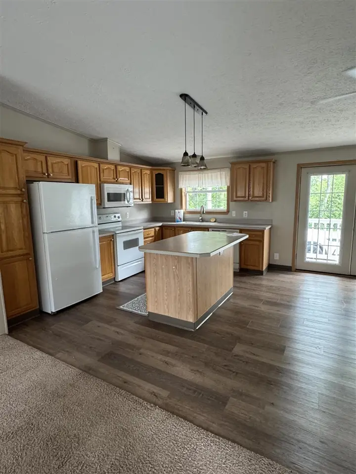 818 Raisin River, Three Rivers, MI 49093 - #3