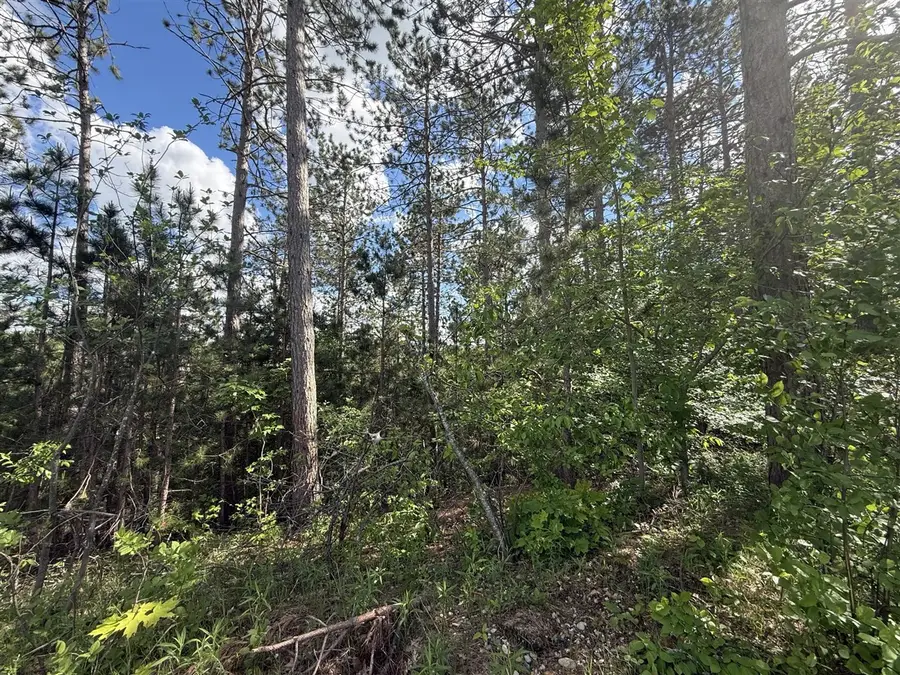 V/l Bear Paw, Vanderbilt, MI 49795 - #2