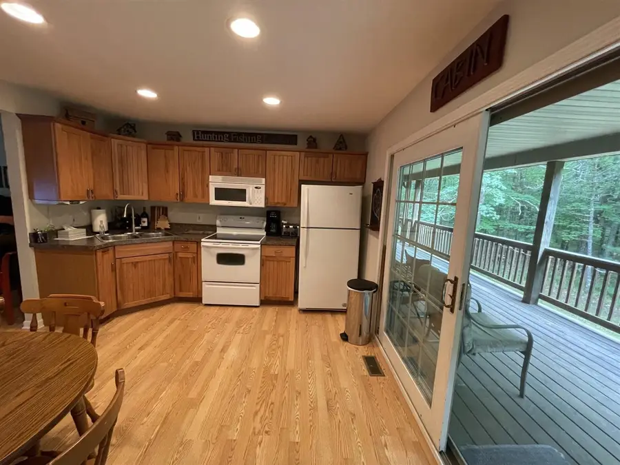 8725 W River, Irons, MI 49644 - #3