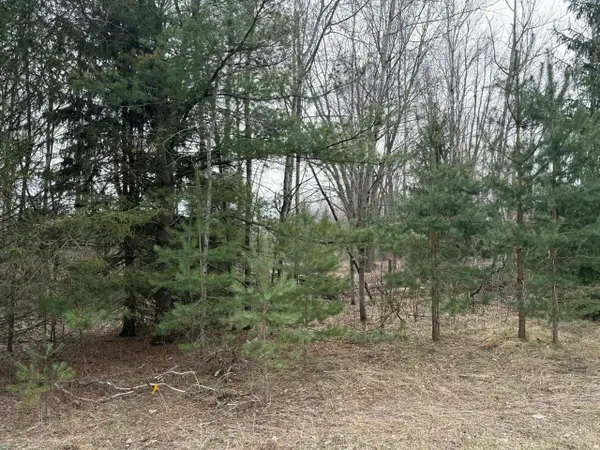 17850 Sparta, Kent City, MI 49330