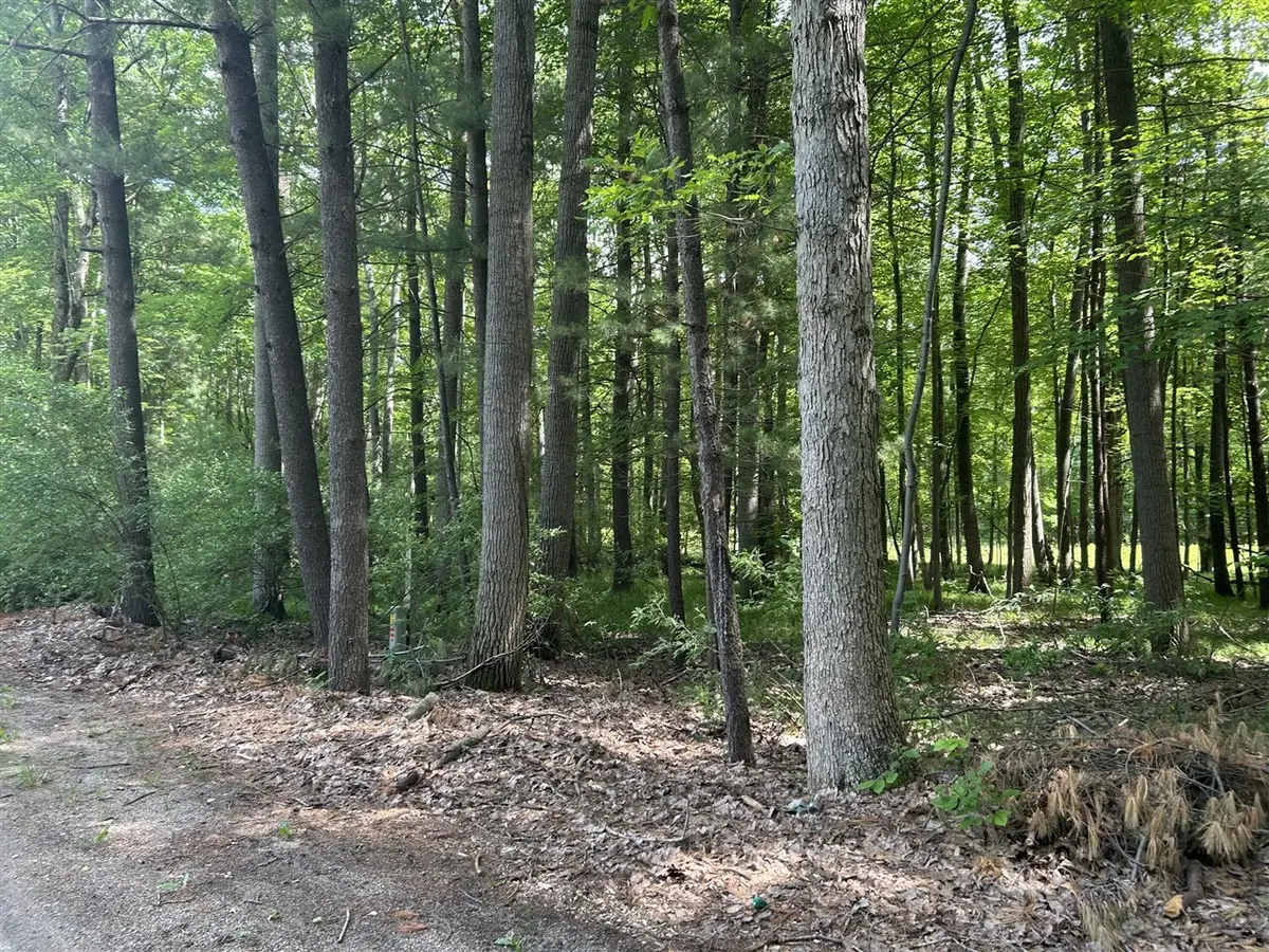 11409 Heather, Canadian Lakes, MI 49346 - #1
