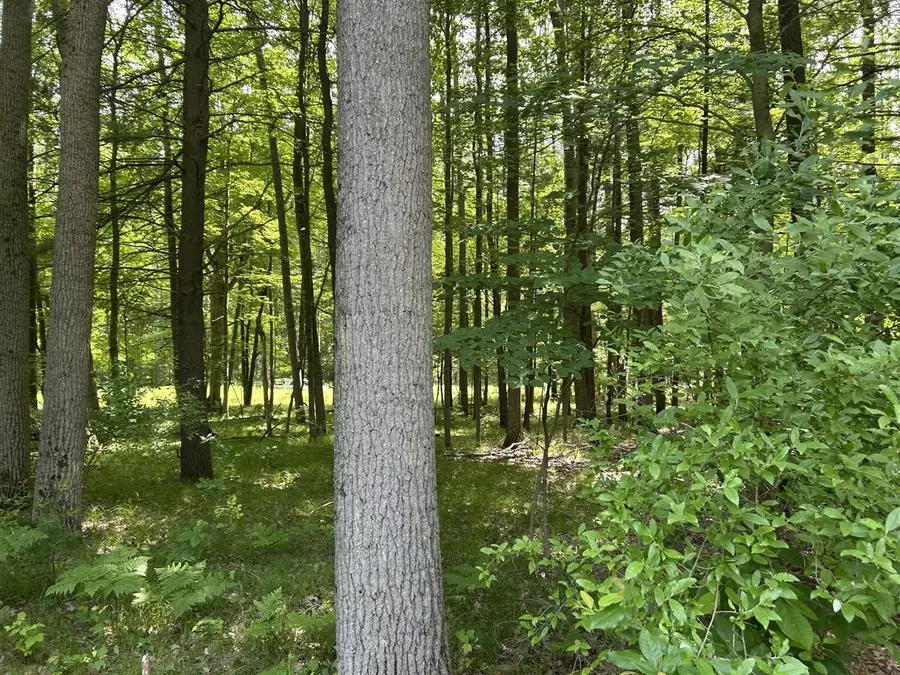 11409 Heather, Canadian Lakes, MI 49346 - #3