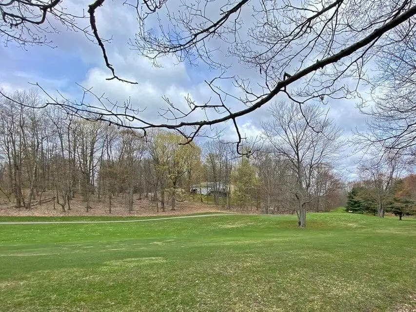 9372 E Circle, Canadian Lakes, MI 49346 - #3