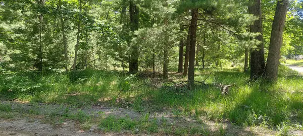 V/L Beverlyway, Twin Lake, MI 49457