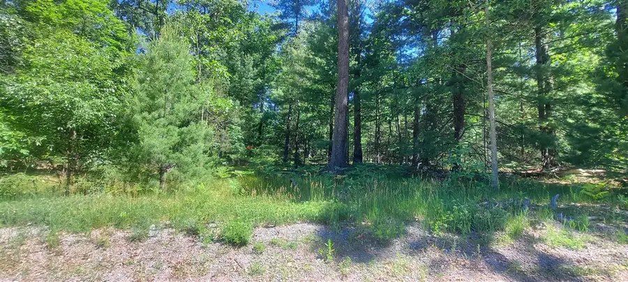 V/L Beverlyway, Twin Lake, MI 49457 - #2