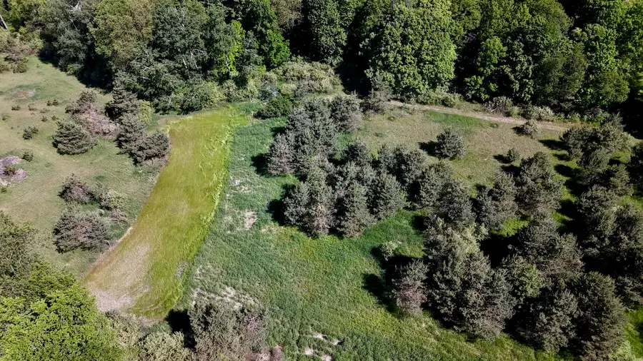 5595 75th, Mecosta, MI 49332 - #3