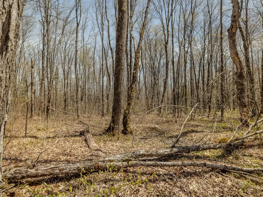 Lot2 E Shore, Matchwood, MI 49910 - #3