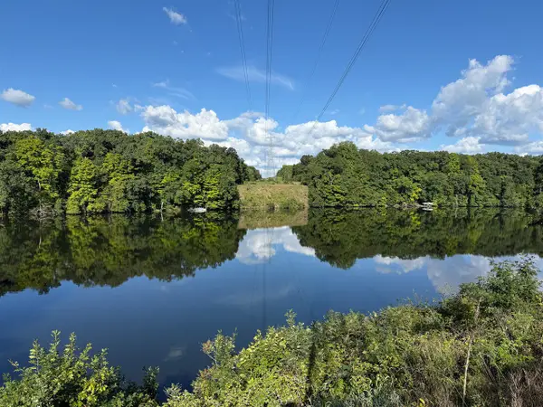 11933 S Lake Chapin, Berrien Springs, MI 49103