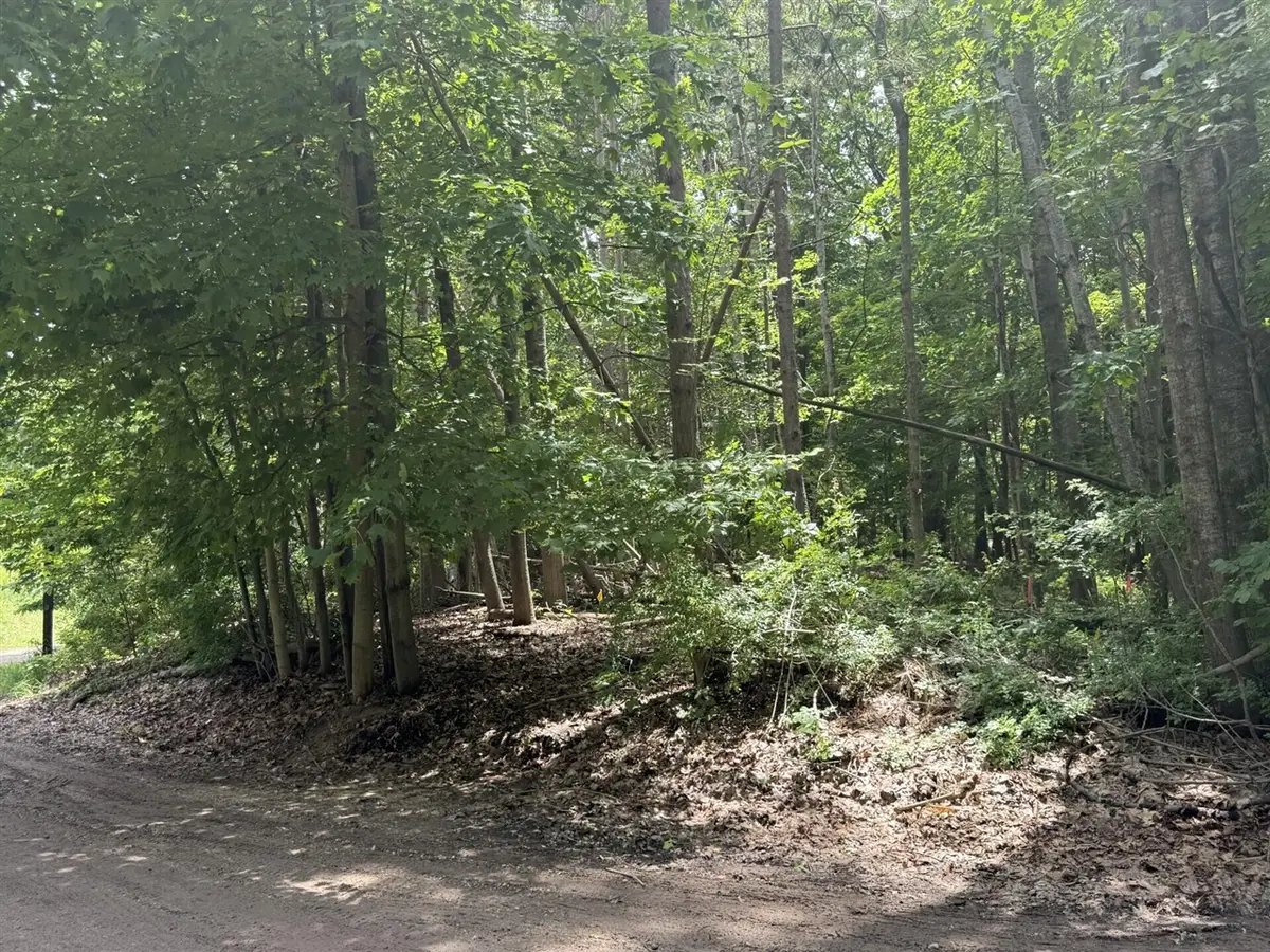 0 Longbridge, Pentwater, MI 49449 - #1