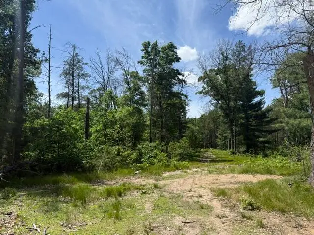 Parcel 2 Grove, Baldwin, MI 49304 - #1