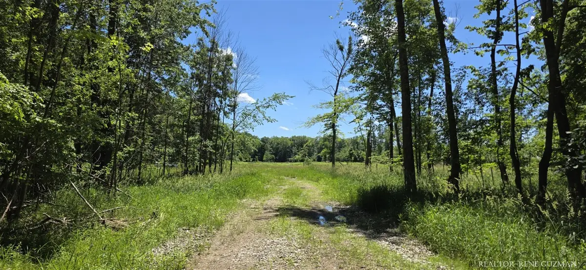 8250 14 Mile, Cedar Springs, MI 49319 - #1