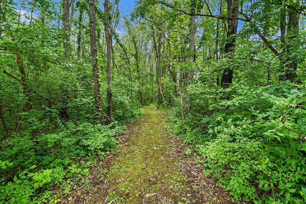 V/L Forest Shores, Cassopolis, MI 49031 - #1