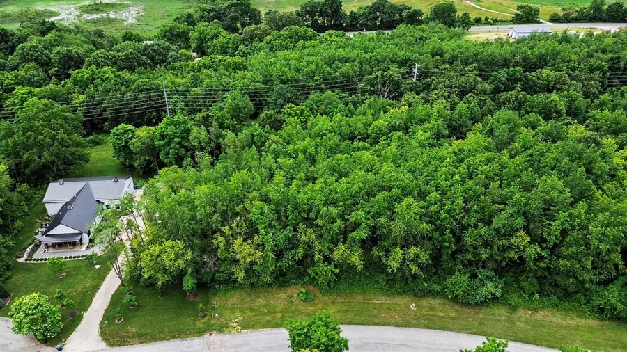 V/L Forest Shores, Cassopolis, MI 49031 - #3