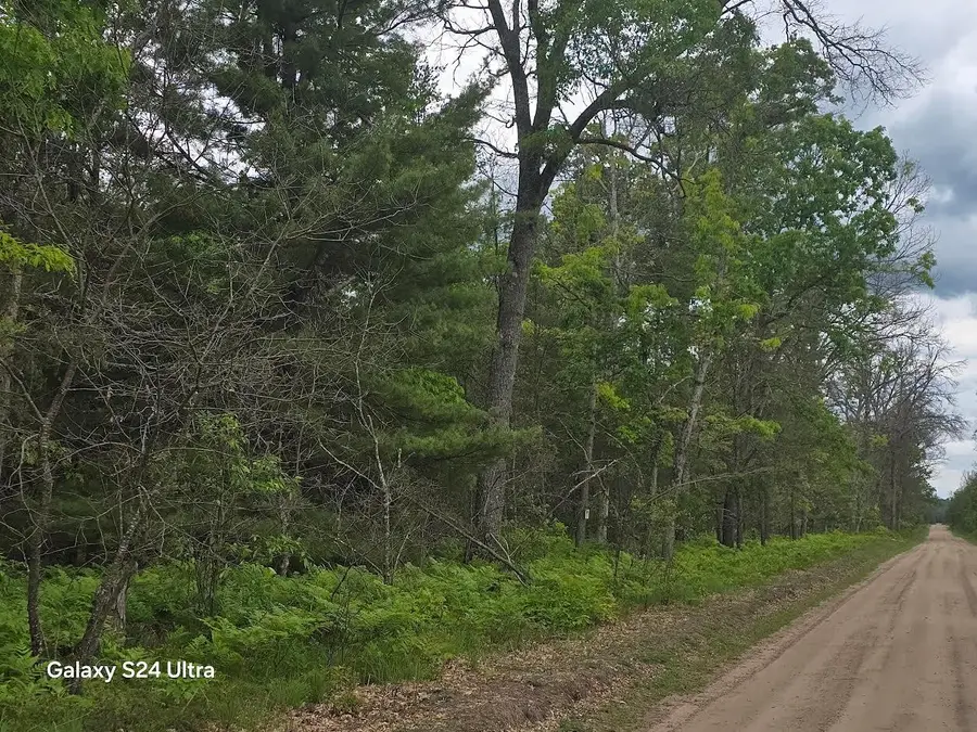 0000 S Forman, Baldwin, MI 49304 - #3