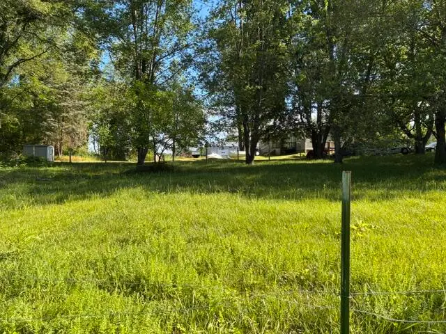 224 Prairie River, Coldwater, MI 49036 - #1