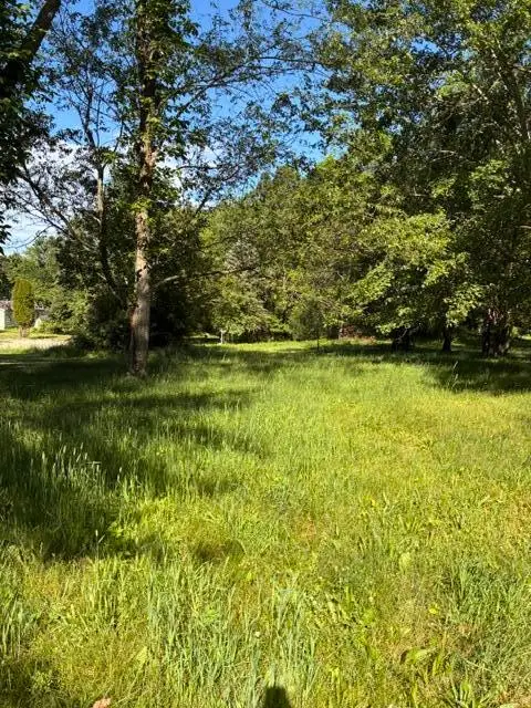 224 Prairie River, Coldwater, MI 49036 - #3