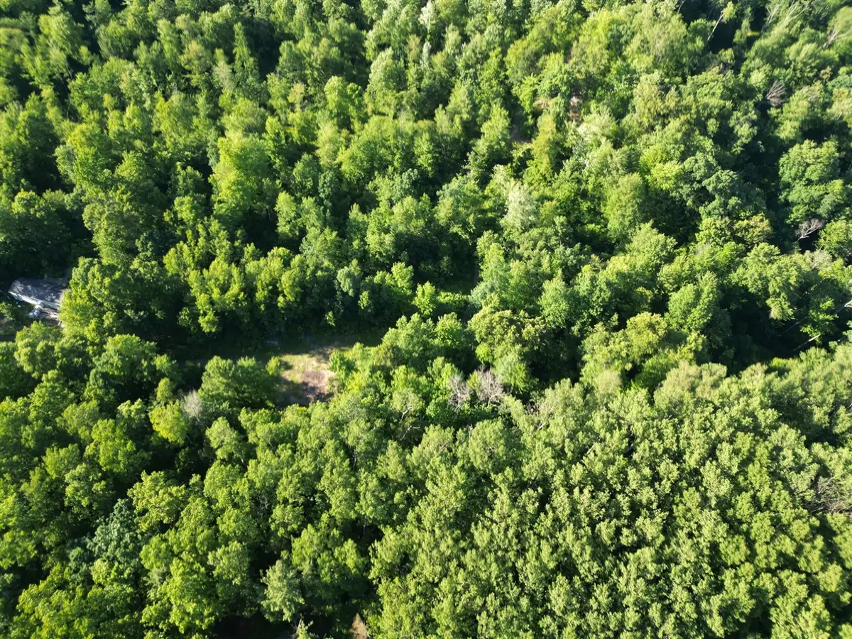 5170 Rocky Top Parcel C, Pierson, MI 49339 - #1