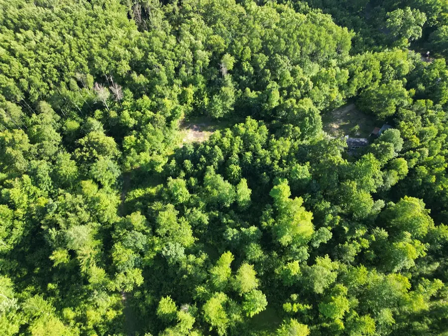 5170 Rocky Top Parcel C, Pierson, MI 49339 - #2