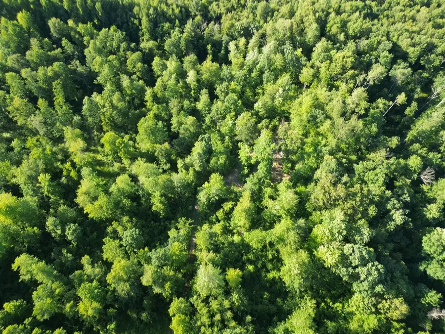 5170 Rocky Top Parcel C, Pierson, MI 49339 - #3