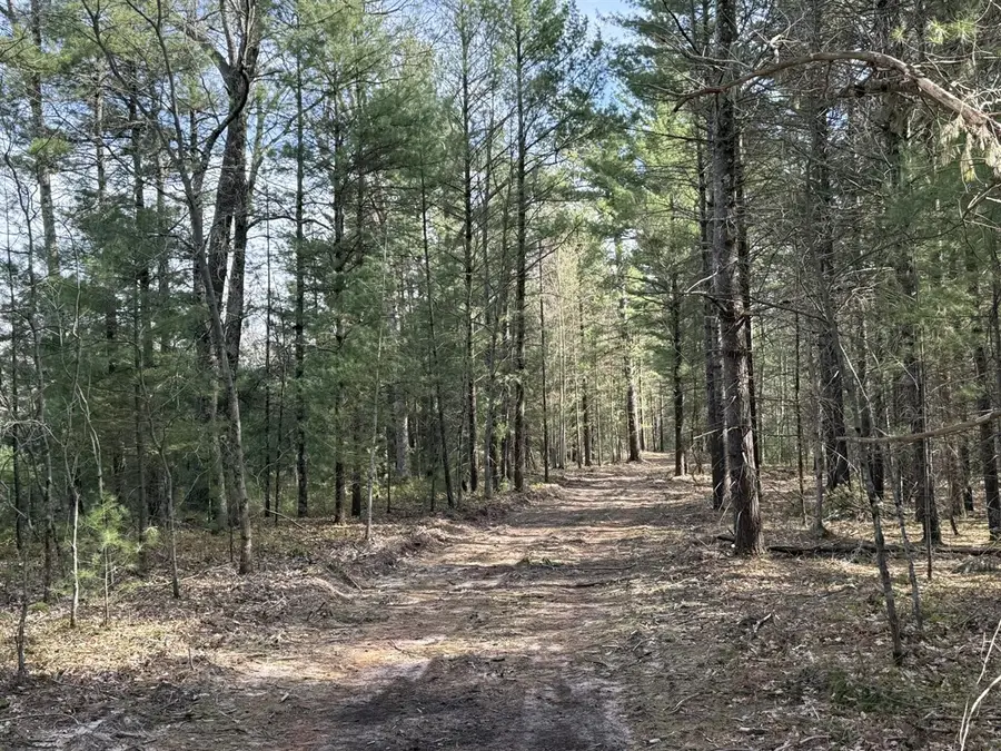 Parcel D Critter, Manistee, MI 49660 - #2