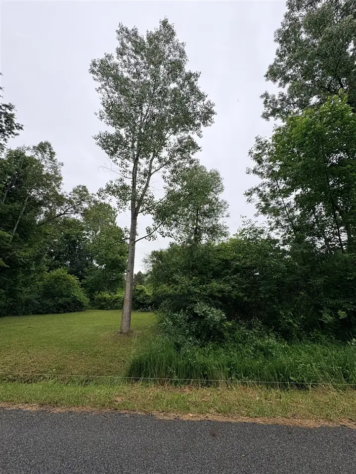 0 Crestview, Laingsburg, MI 48848 - #1