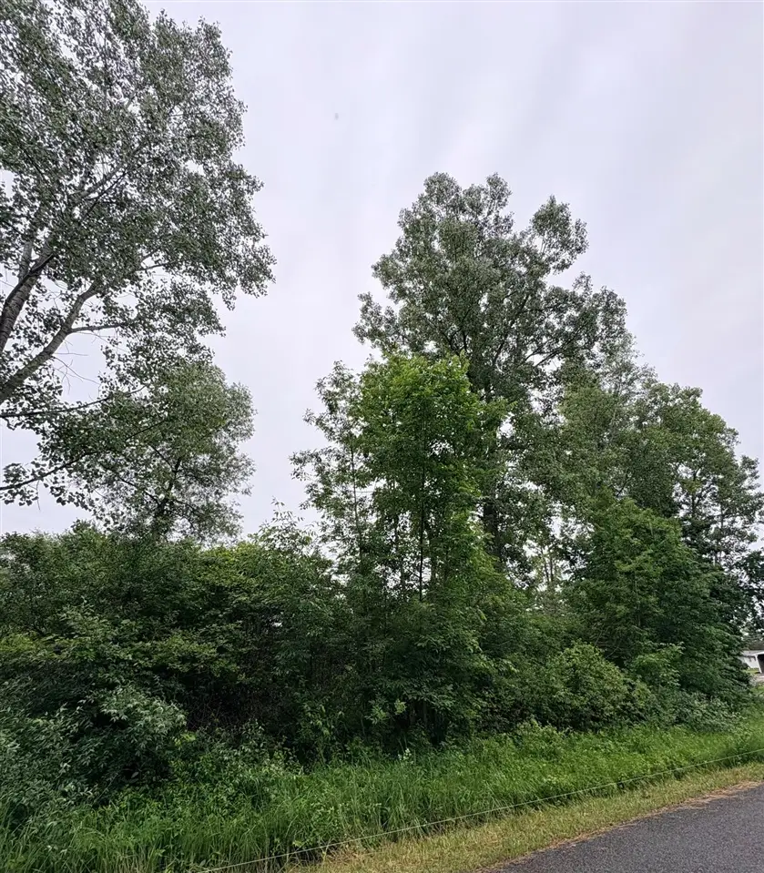 0 Crestview, Laingsburg, MI 48848 - #2