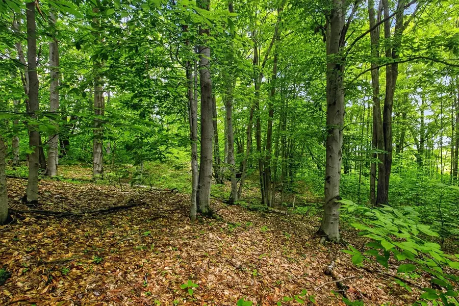 V/L E 24th, Reed City, MI 49677 - #2