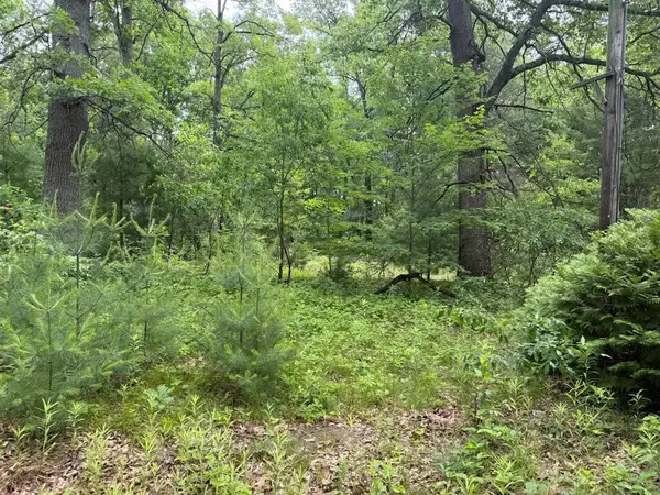 6250 Clover, Twin Lake, MI 49457