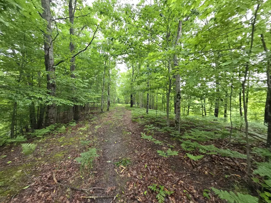 Madison, Hesperia, MI 49421 - #3