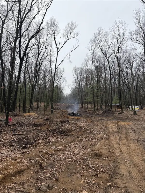 5419 Thorpe, Fennville, MI 49408