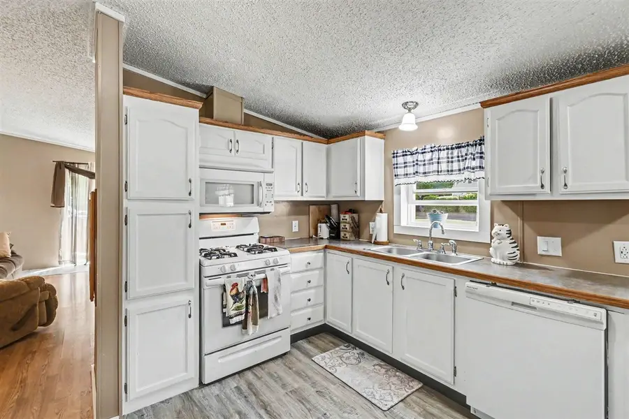 141 E Franklin, Woodland, MI 48897 - #3
