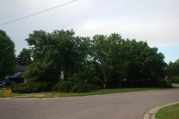 VL North Demorrow, Stevensville, MI 49127
