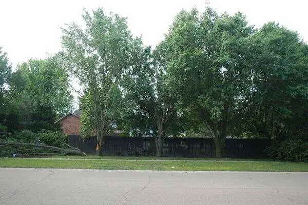 VL North Demorrow, Stevensville, MI 49127 - #3
