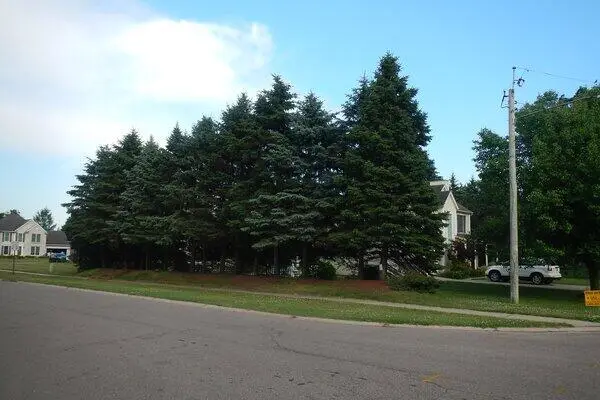 VL South Demorrow, Stevensville, MI 49127 - #1