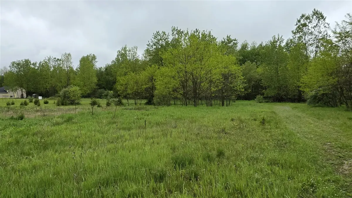 VL St Clair, Brooklyn, MI 49230 - #1