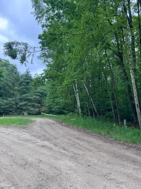 114 Bluff, LeRoy, MI 49655