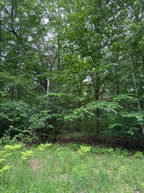 114 Bluff, Leroy, MI 49655 - #3