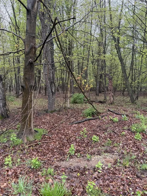 Lot 2 Christopher Lane, South Haven, MI 49090