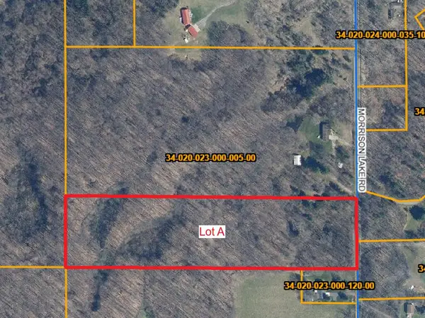 6286 Morrison Lake, Saranac, MI 48881
