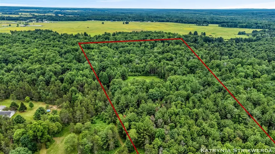 V/L E Kinney Rd, Branch, MI 49402 - #2