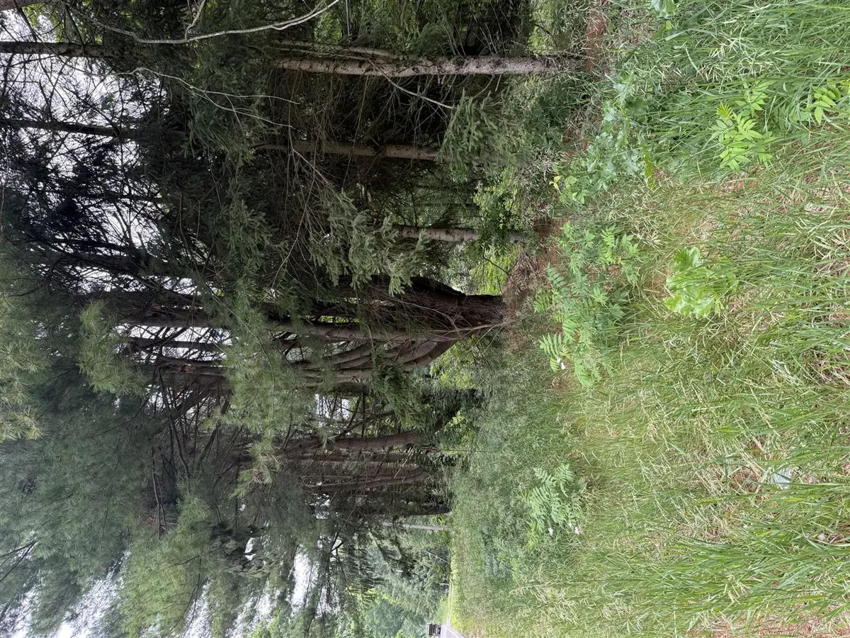 23250 W Wood Lake, Pierson, MI 49339 - #1
