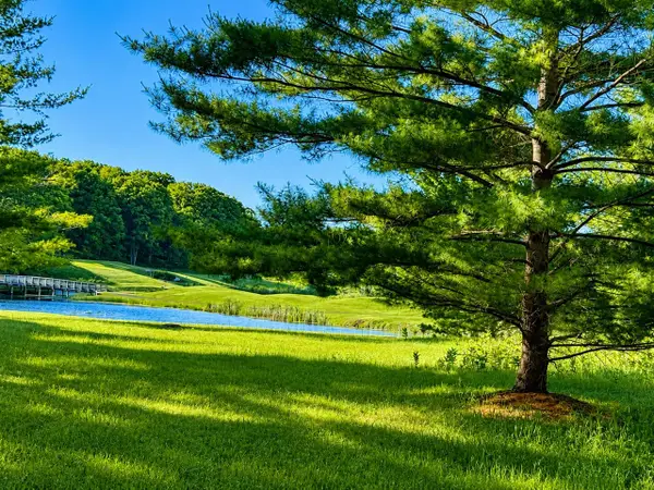 8988 Rambling, Canadian Lakes, MI 49346