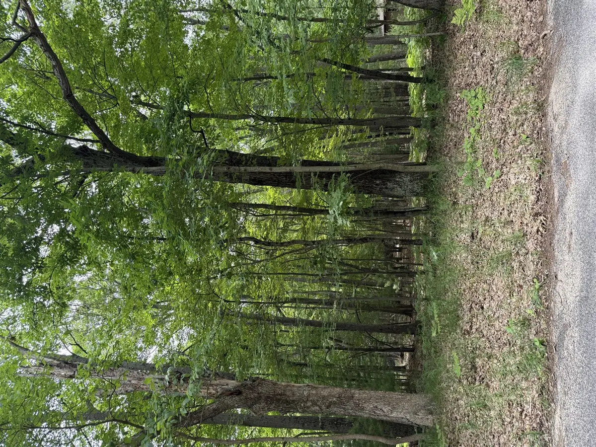 Lot 127 Wayne, Pentwater, MI 49449 - #1