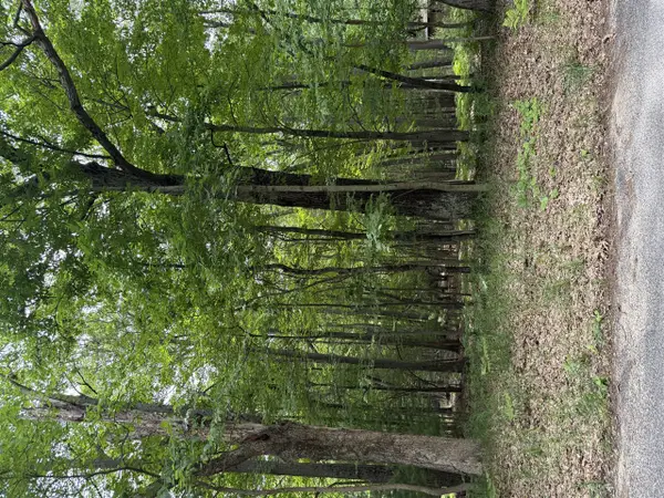 Lot 127 Wayne, Pentwater, MI 49449