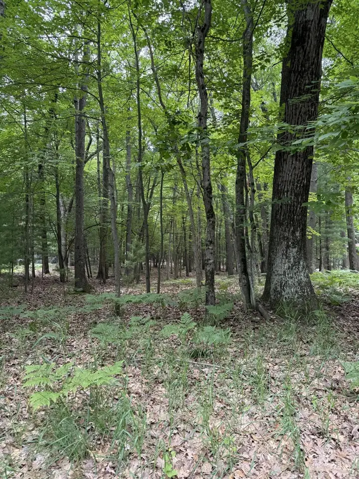 Lot 127 Wayne, Pentwater, MI 49449 - #2