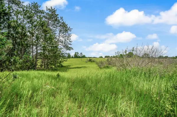 13751 Mackinaw, LeRoy, MI 49655