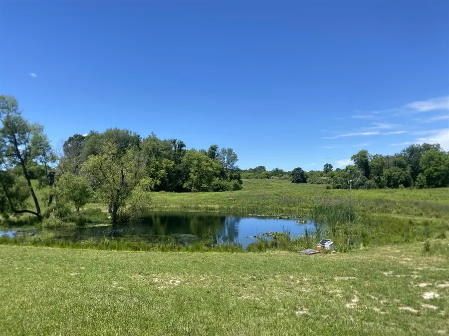 Cassidy, Bellevue, MI 49021 - #2
