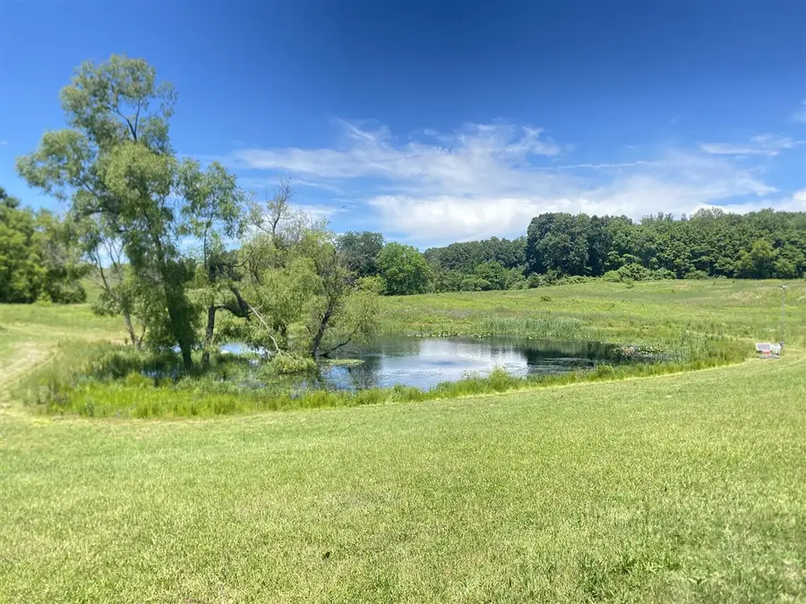 Cassidy, Bellevue, MI 49021 - #3