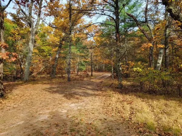 4.84 Ac 160th, Hesperia, MI 49421